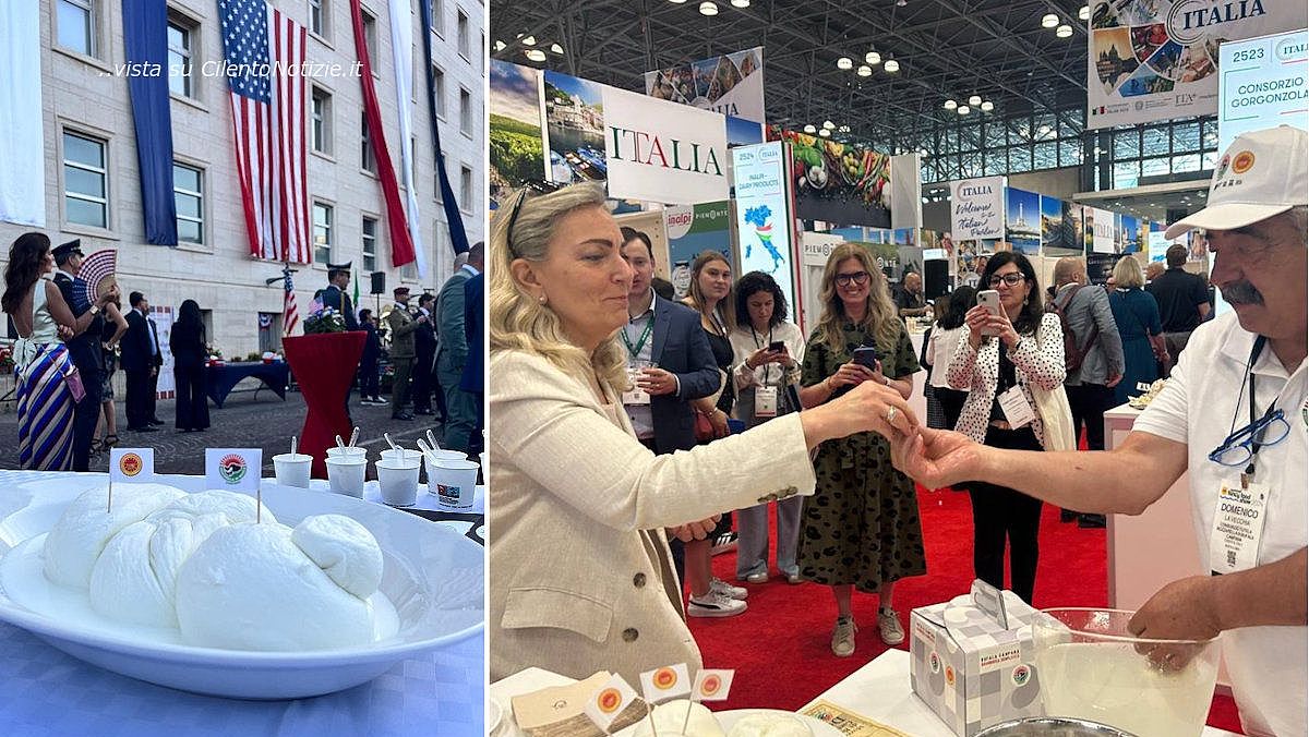 24062025 treccia usa 24062025 treccia usa