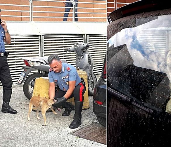 24072018 cane salvato da carabinieri