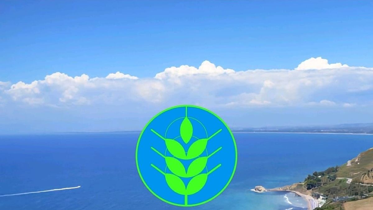 24072025 spiga verde 25 24072025 spiga verde 25