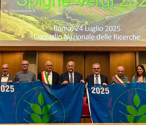 24072025 spighe verdi 2025