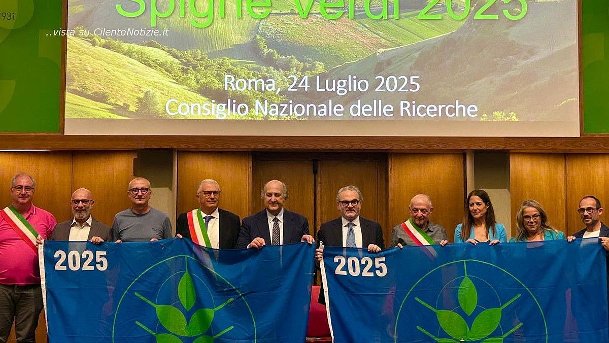 24072025 spighe verdi 2025 24072025 spighe verdi 2025