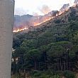 Cronaca foto - 24082016 incendio castel san giorgio