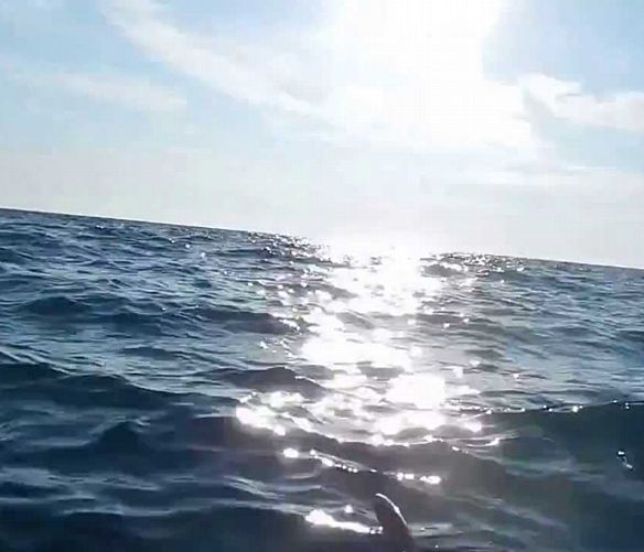 24082017 mare aperto
