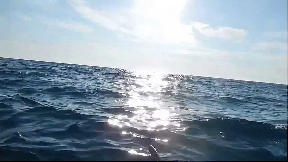 24082017 mare aperto