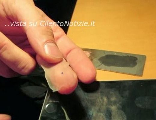 Marco-Califano foto - 24092013 impronta