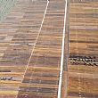 Cronaca foto - 24092015 legno spiagg