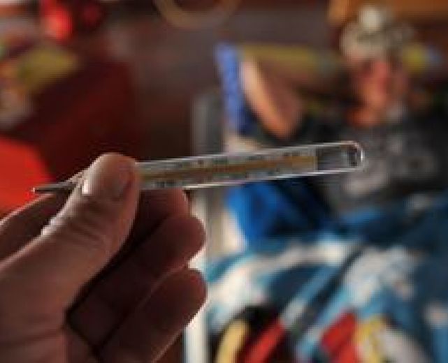 24102014 influenza italia