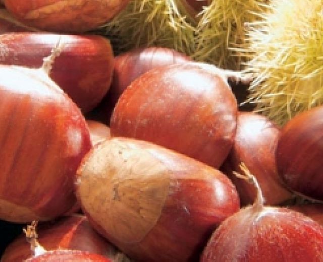 24102014 sagra della castagna