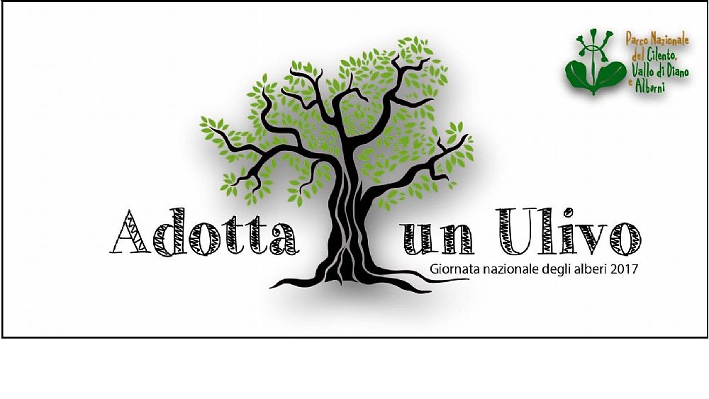 24102017 logo adotta ulivo