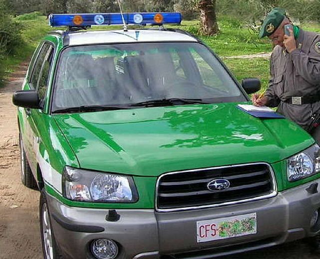 24112015 blitz forestale