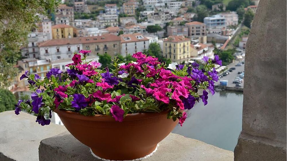 24112016 agropoli in fiore