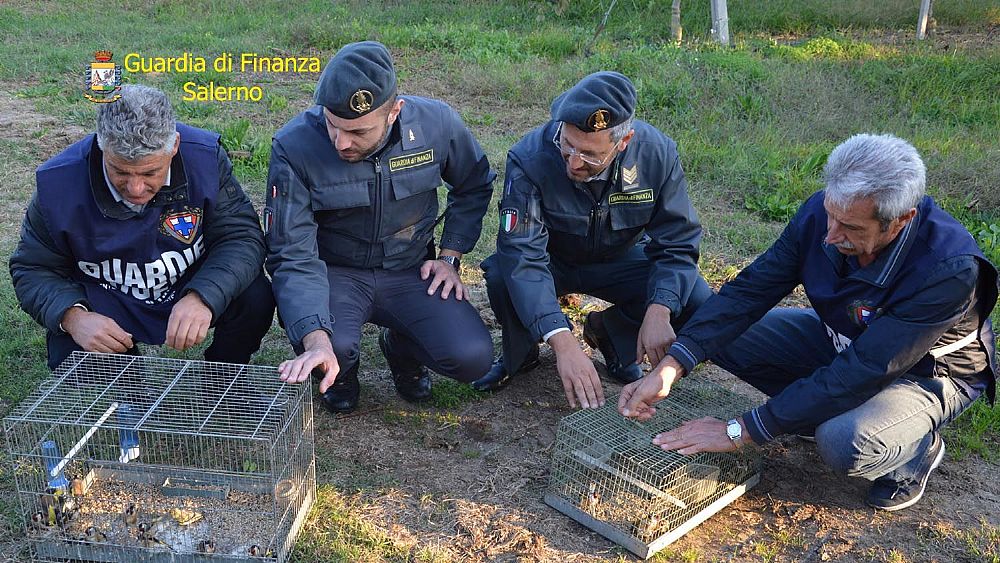 24112018 foto intervento gdf