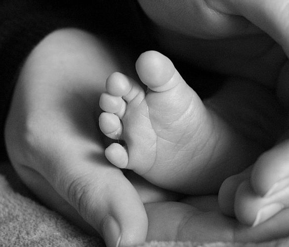 Giuseppe-Lembo foto - 24112018 punti nascita