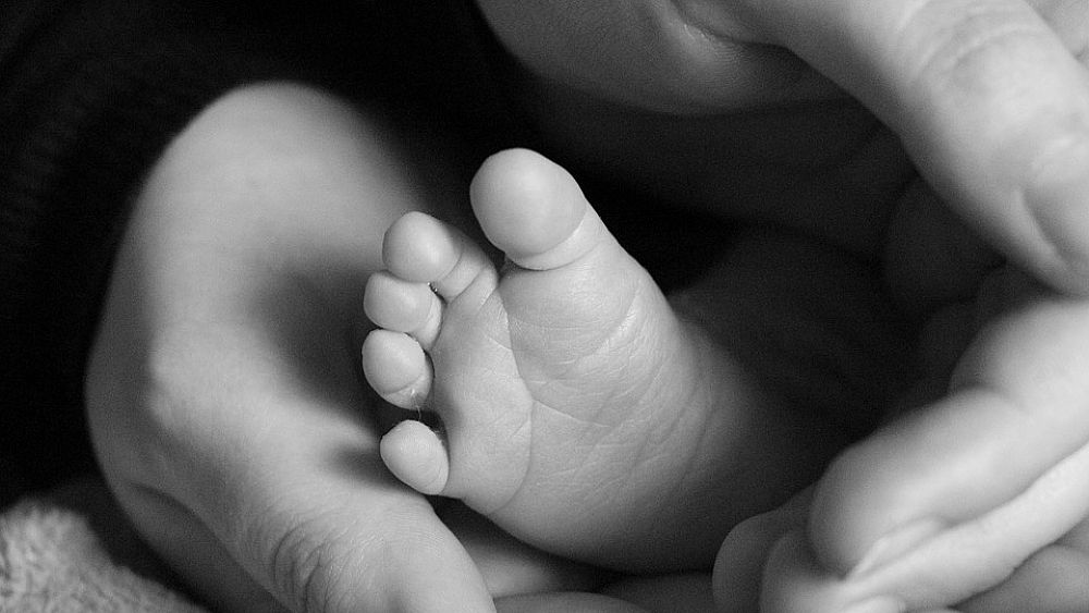 24112018 punti nascita 24112018 punti nascita