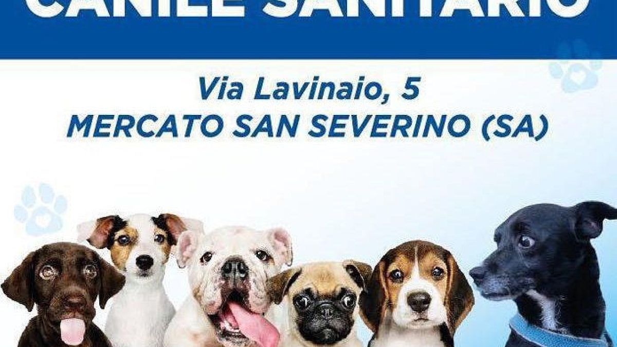 24122024 locandina inaugurazione canile mss 24122024 locandina inaugurazione canile mss