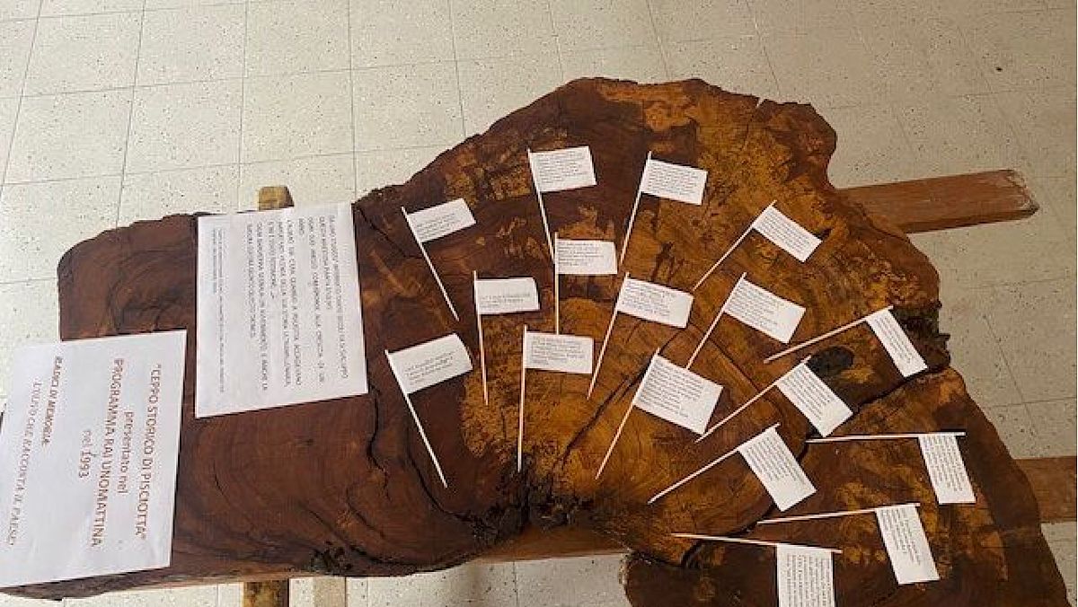 24122024 viaggio memoria pisciotta 24122024 viaggio memoria pisciotta