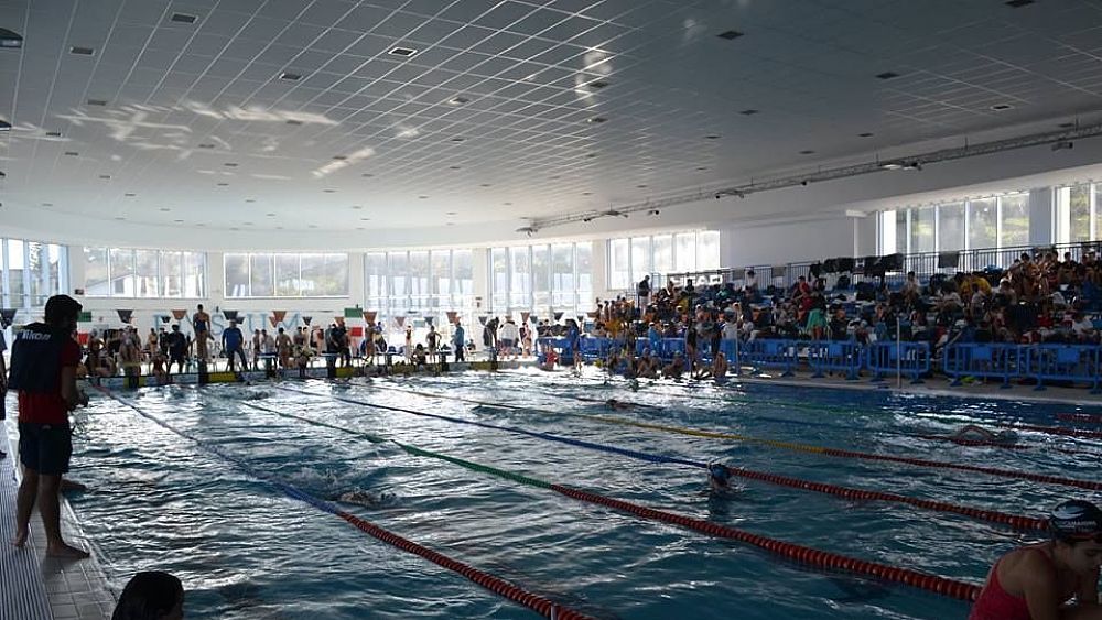 25022019 nuoto pinnato
