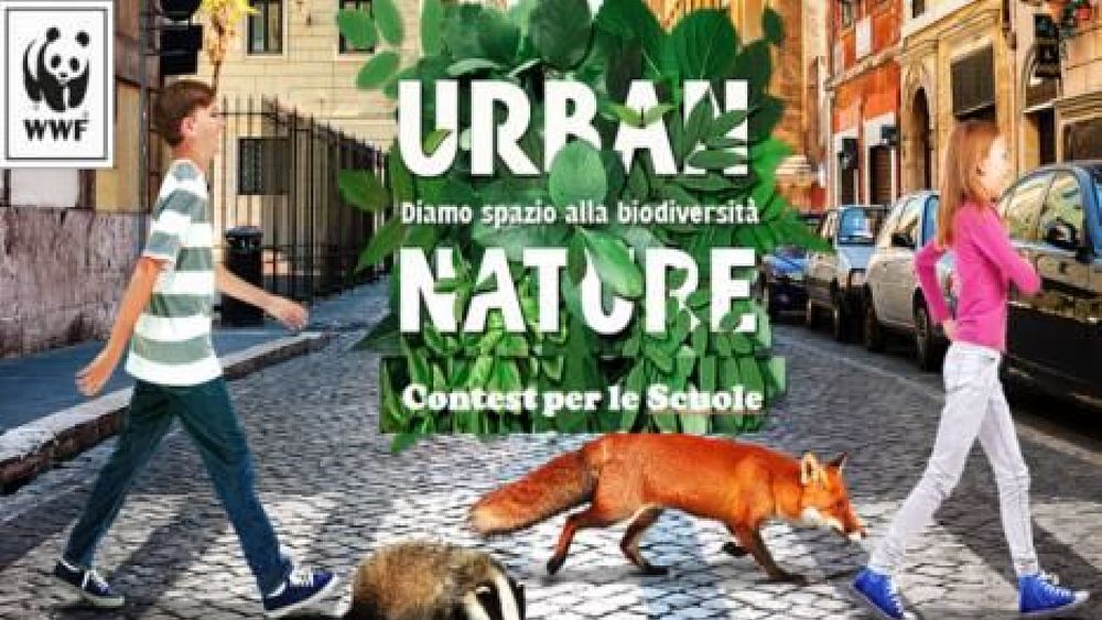 25022019 wwf urban nature