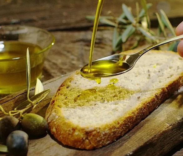 25022026 olio evo