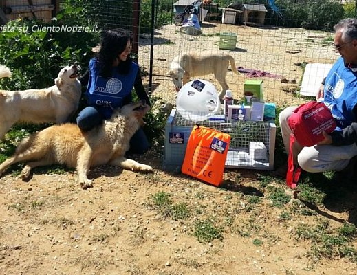 25032013 Rifugio OIPA Agrigento rid