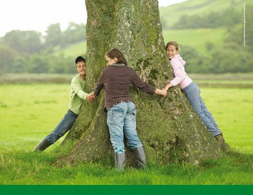 25032013 bcc redito che unisce