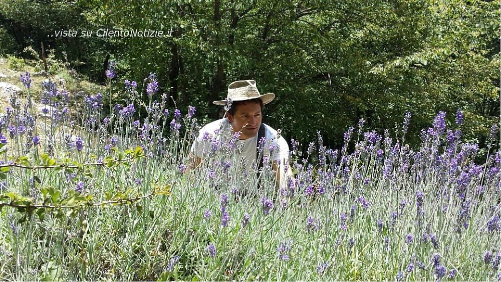 25032017 foto per stampa