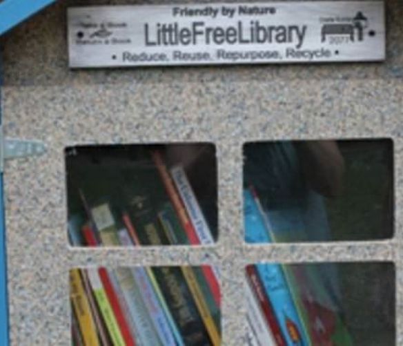 Marisa-Russo foto - 25032017 little free library