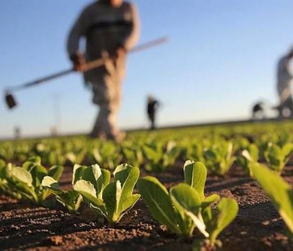 25032019 agricoltura sostenibile