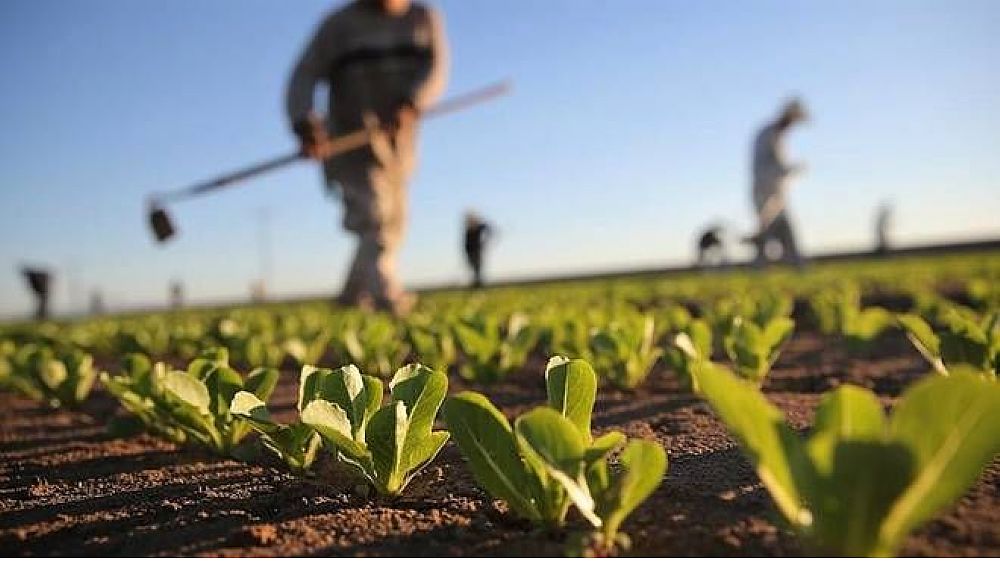 25032019 agricoltura sostenibile