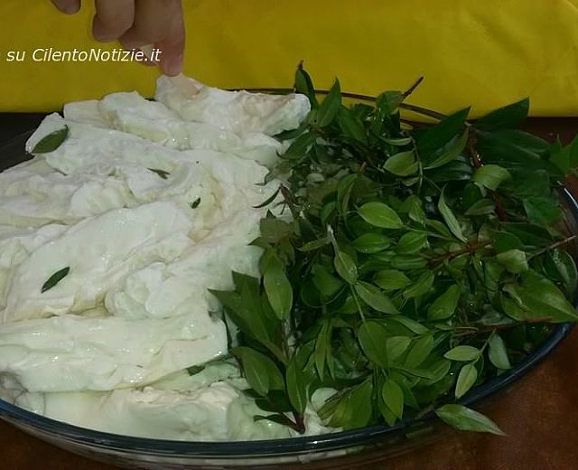 25052015 foto expo 01 25052015 foto expo 01