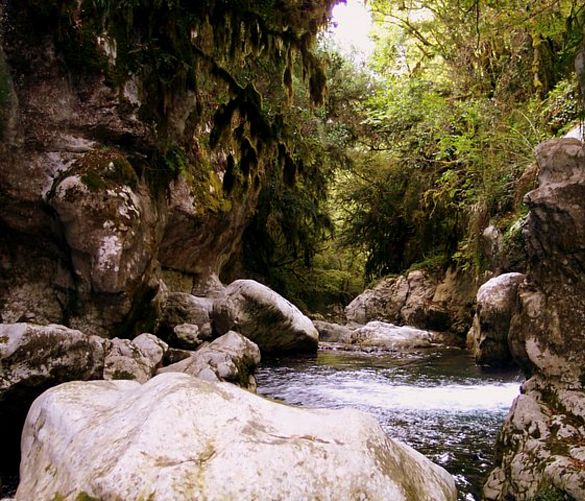 25052016 fiume bussento morigerati