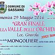 Vallo di Diano Notizie foto - 25052016 locandina valle delle orchidee