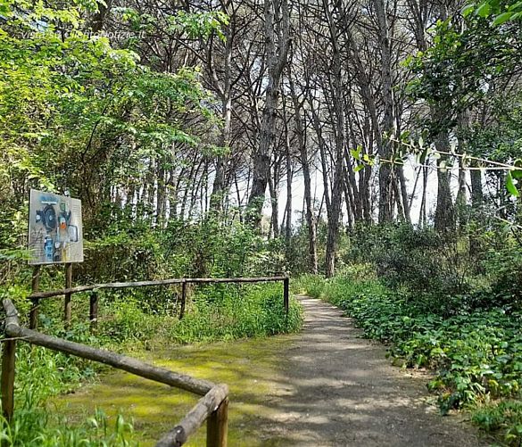25052023 oasi legambiente capaccio