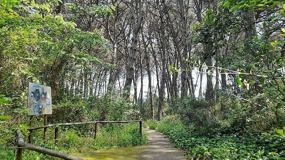 25052023 oasi legambiente capaccio 25052023 oasi legambiente capaccio