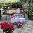 Paesi del Cilento - Le ultime  Notizie foto - 25052026 comune in fiore
