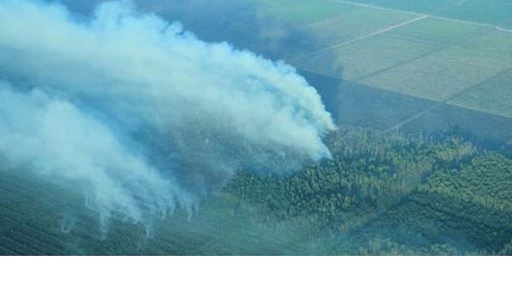 25062016 foreste 25062016 foreste