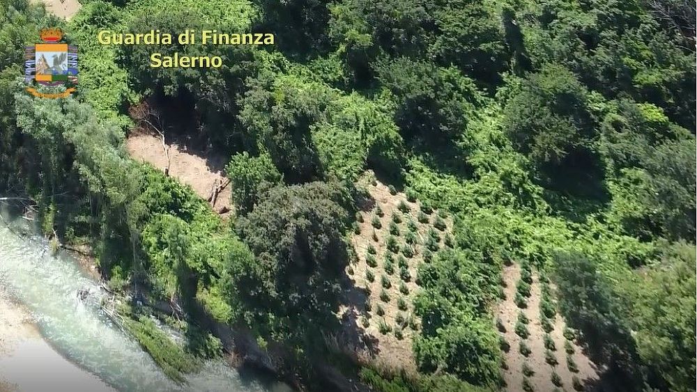 25062021 foto 2 25062021 foto 2