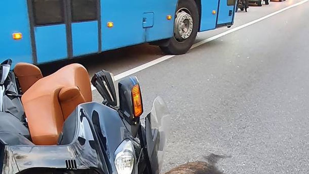 25062024 scontro moto cinghiale