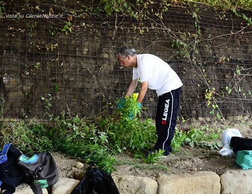 25072014 volontari in azione