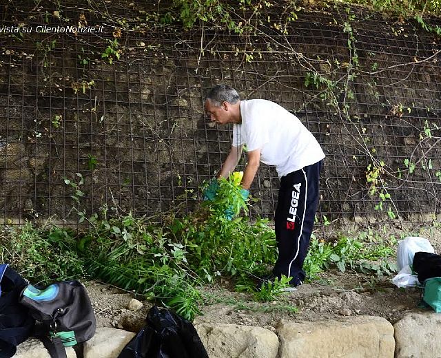 25072014 volontari in azione