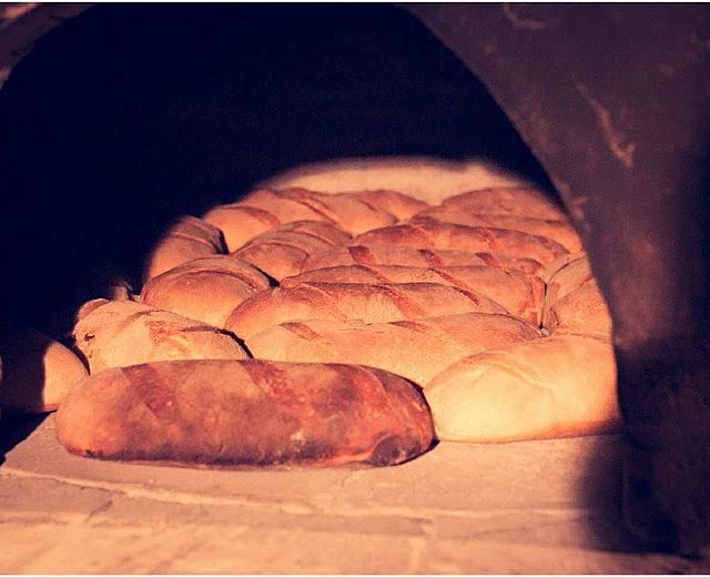 25072015 festa del pane trentinara