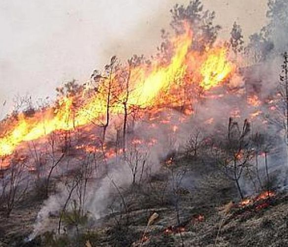 25082017 incendio