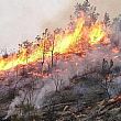 Cilento - Le ultime  Notizie foto - 25082017 incendio