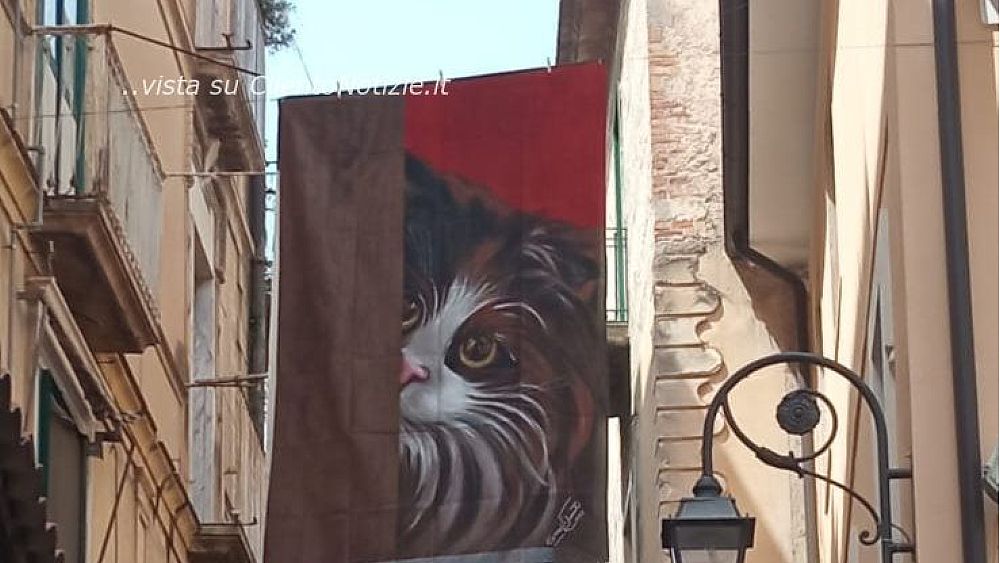 25082023 lenzuola arte