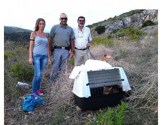 25092014 volpe achille san giovanni a piro