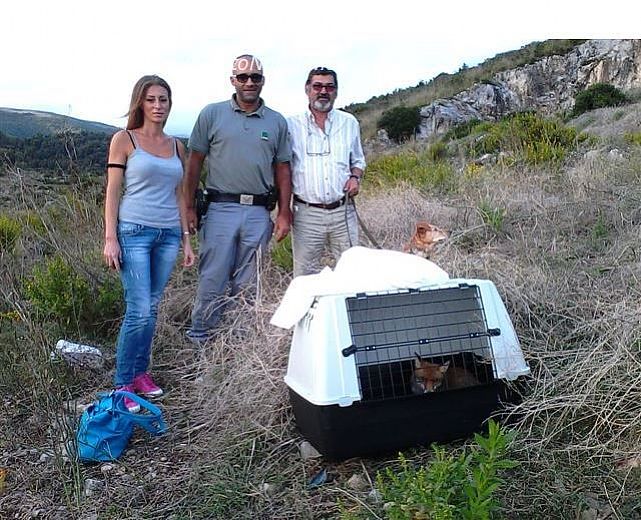 25092014 volpe achille san giovanni a piro