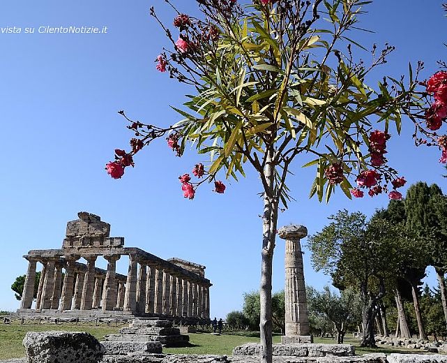 25092015 bmta paestum