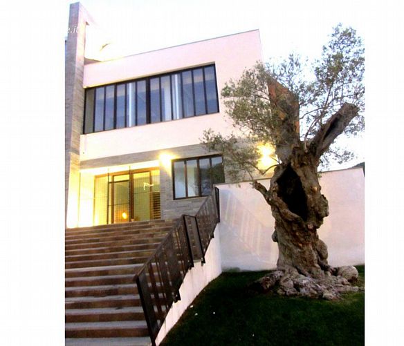 Marisa-Russo foto - 25092018 ulivo comune di castellabate