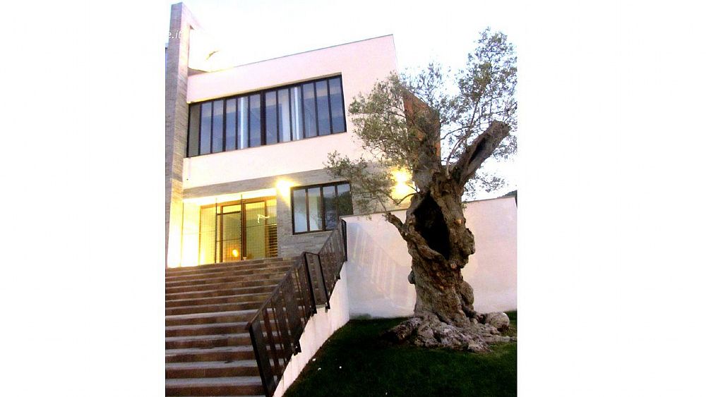 25092018 ulivo comune di castellabate