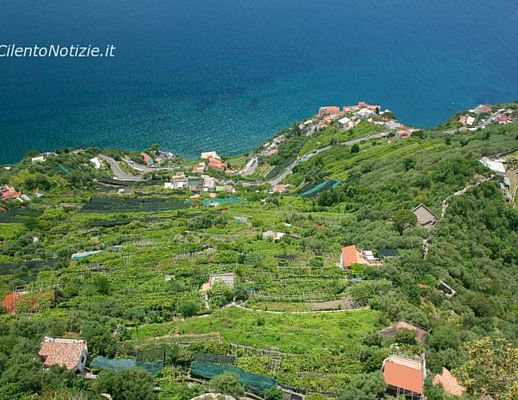 25102014 terrazze ravello